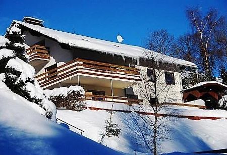 Ferienwohnungen Willingen Wald エクステリア 写真