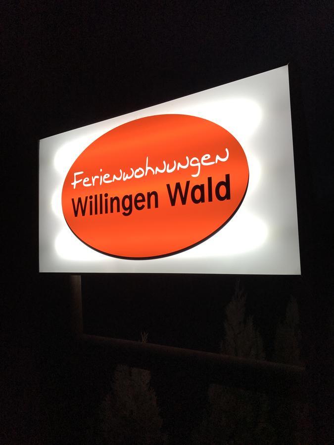 Ferienwohnungen Willingen Wald エクステリア 写真